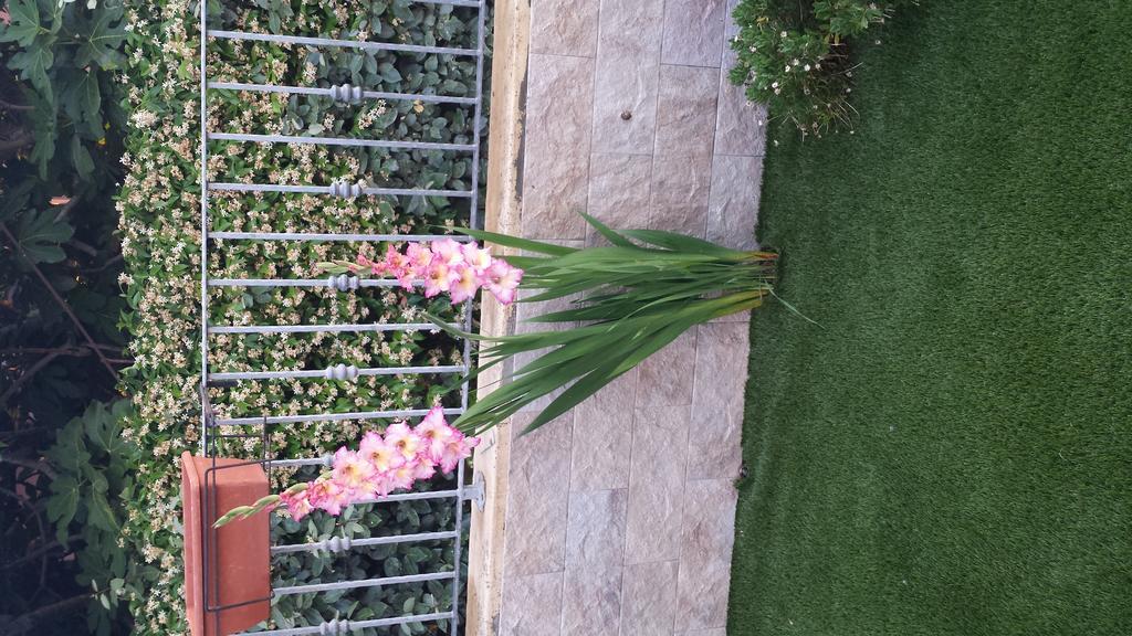 Willa Casa Con Giardino Olbia Zewnętrze zdjęcie